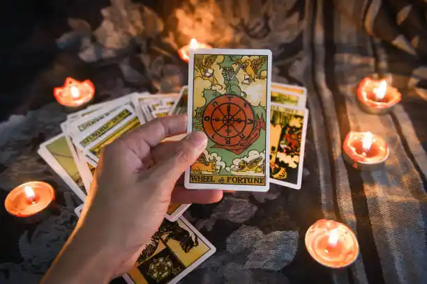 tarot cards Carey